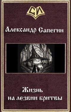 Александр Сапегин - Три войны