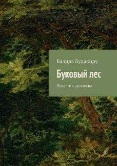 Валерий Рух - Князь