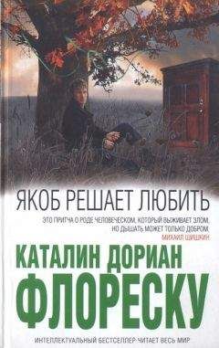 Александр Фурман - Книга Фурмана. История одного присутствия. Часть I. Страна несходства