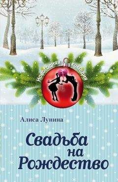 Алиса Лунина - Новогодний рейс