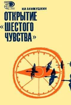 Михаил Жутиков - Проклятие прогресса: благие намерения и дорога в ад