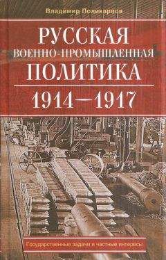 Иван Коновалов - Элементы   обороны:   заметки   о   российском   оружии