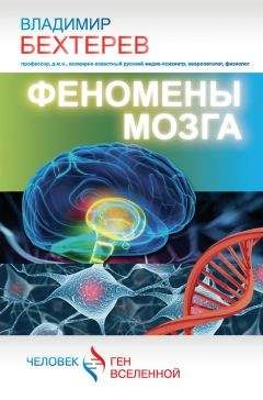 Борис Сергеев - Парадоксы мозга