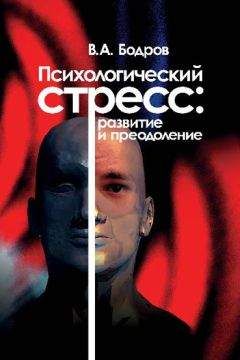 Владислав Вавилов - Политический стресс-менеджмент