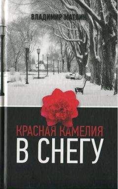 Владимир Матлин - Красная камелия в снегу