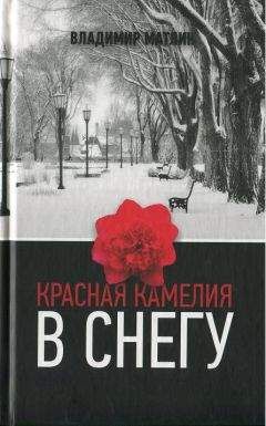 Марат Баскин - Полонез Огинского