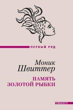 Алессандро Пиперно - Ошибка Лео Понтекорво