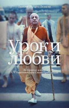 Владислав Лебедько - Хроники российской Саньясы. Том 2