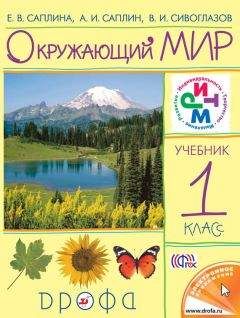 Владимир Янушевский - Методика и организация проектной деятельности в школе. 5-9 классы. Методическое пособие