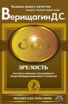 Дмитрий Верищагин - Влияние. Система навыков Дальнейшего ЭнергоИнформационного Развития. III ступень