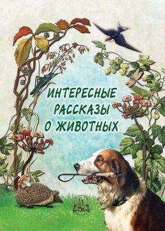 Н. Рудакова - Интересные рассказы о животных