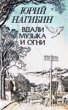 Юрий Нагибин - Иоганн Себастьян Бах