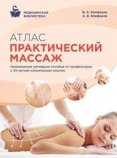 Виталий Епифанов - Атлас профессионального массажа