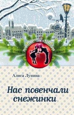 Алиса Лунина - Новогодний рейс