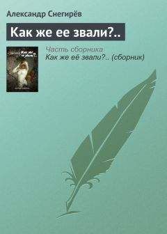 Александр Снегирёв - Разделение и чистота