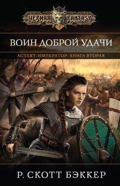 Евгений Витковский - Павел II. Книга 3. Пригоршня власти