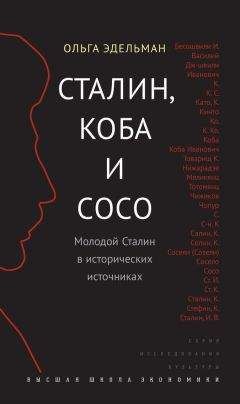 Юрий Емельянов - Сталин. Путь к власти