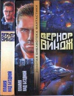 Вернор Виндж - Брошенные в реальном времени