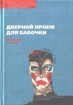 Ален Роб-Грийе - Проект революции в Нью-Йорке