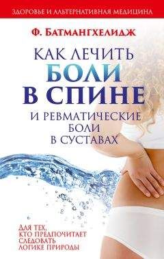 Анжела Евдокимова - Боль в спине. Как определить причину и устранить приступ