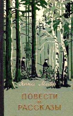 Виктор Драгунский - Большая книга рассказов и повестей