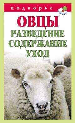 Виктор Горбунов - Всё о кроликах: разведение, содержание, уход. Практическое руководство