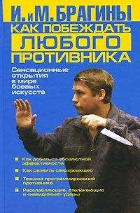 Александр Шевцов - Русский бой на Любки