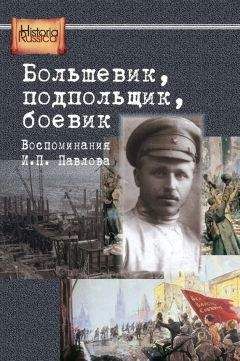 Александр Синегуб - Защита Зимнего Дворца