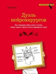 Шон Кэрролл - Частица на краю Вселенной. Как охота на бозон Хиггса ведет нас к границам нового мира