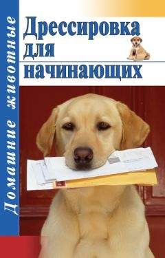 Элина Болтенко - Учебник по экстрасенсорике. Советы от практикующей ведуньи