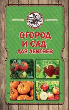 Павел Штейнберг - Как вырастить отличный урожай овощей и бахчевых. Рецепты, проверенные временем