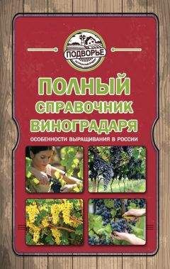 Александр Ганичкин - Все о томатах и огурцах от Октябрины Ганичкиной