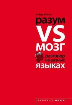 Стивен Пинкер - Как работает мозг