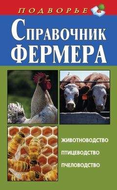 Александр Свияш - Советы брачующимся, уже забракованным и страстно желающим забраковаться