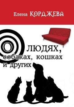 Таньчо Иванса - Маленький роман из жизни «психов» и другие невероятные истории (сборник)