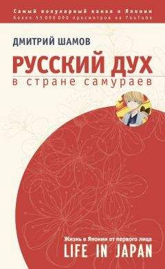 Евгений Сатановский - Книга Израиля. Путевые заметки о стране святых, десантников и террористов