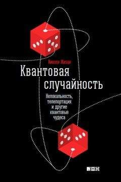 Николя Жизан - Квантовая случайность. Нелокальность, телепортация и другие квантовые чудеса