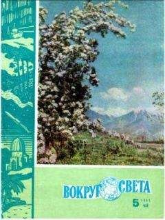 Борис Борин - Оранжевая планета