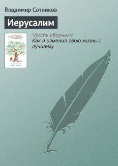 Владимир Михайлов - Ревность
