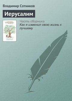 Владимир Васильев - Силуминовая соната