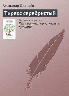 Андрей Ткачев - Национальный вопрос и моя мама