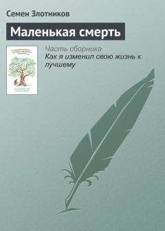 Владимир Лагутин - Маленькая история большой жизни