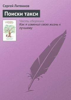 Анна и Сергей Литвиновы - Человек без лица