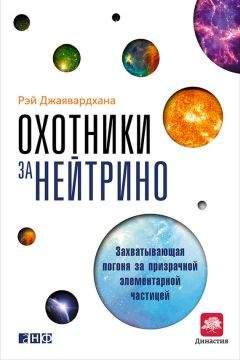 Шон Кэрролл - Частица на краю Вселенной. Как охота на бозон Хиггса ведет нас к границам нового мира