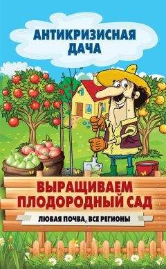 Сергей Кашин - Секреты плодородной почвы. Самые эффективные удобрения