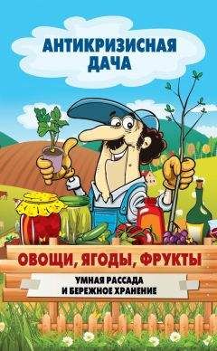 Сергей Кашин - Выращиваем плодородный сад. Любая почва, все регионы