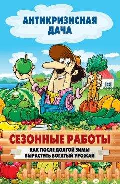 Сергей Кашин - Украшаем сад своими руками. Практичные советы для бережливых садоводов