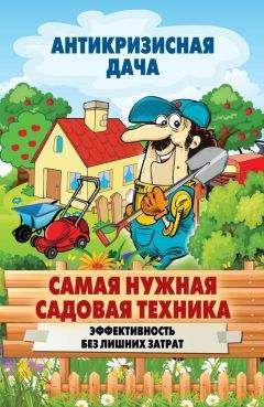 Анастасия Красичкова - Золотая книга приусадебного участка