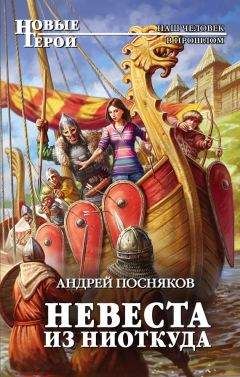 Андрей Посняков - Воевода заморских земель