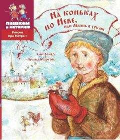 Александр Бурцев - Народный быт Великого Севера. Том II